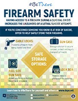 Firearm Safe Storage